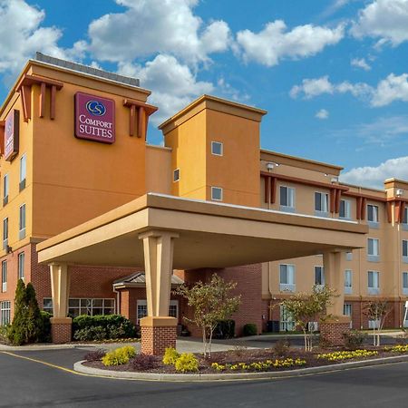 Comfort Suites Сефорд Екстер'єр фото